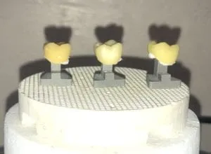 Perfect Pegs - Immediately Out of Oven Dental Creations Ltd - Perfect Pegs - Immediately Out of Oven