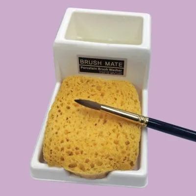 Dental Creations Ltd - Brush mate Product Photo