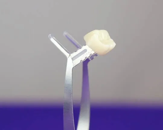 Amazon Photo-140 Dental Creations Ltd - Zir Holder Dental Lab Tools
