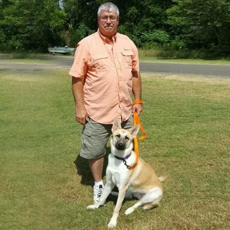 David, Dental Creations Ltd